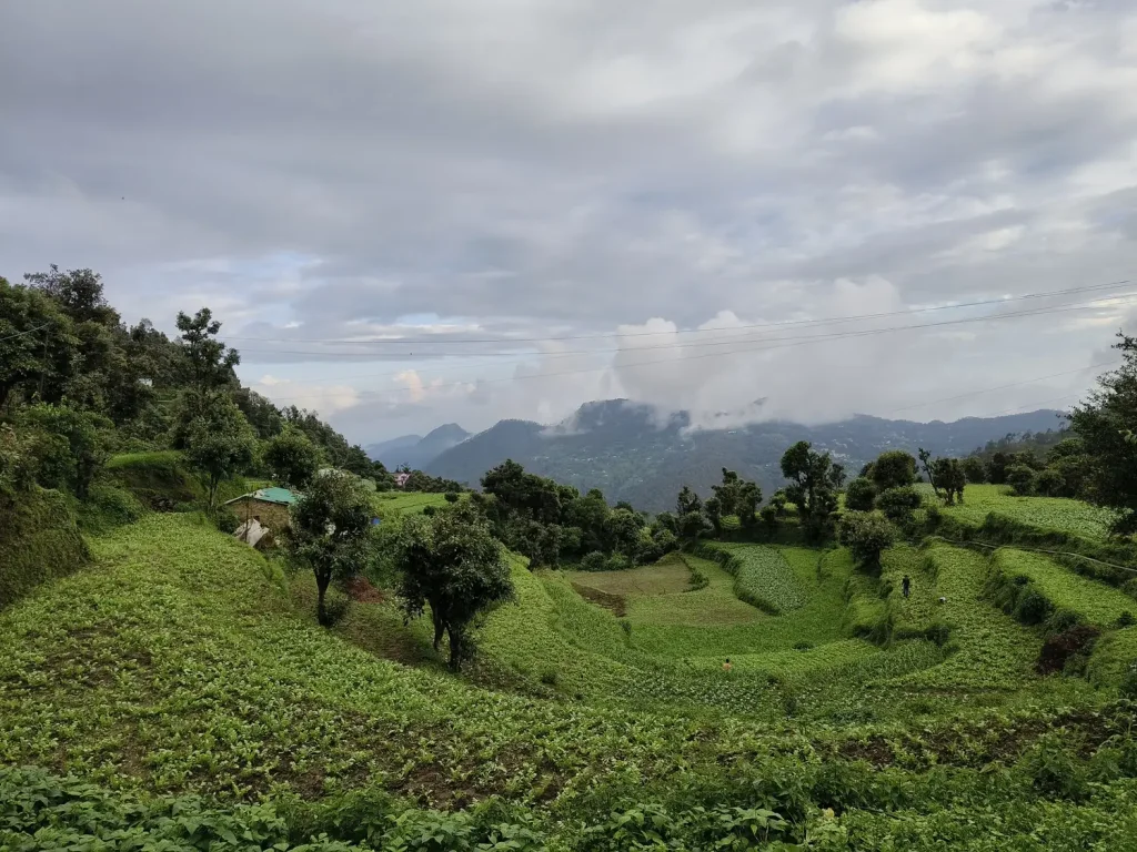 Mahadeva Homestay