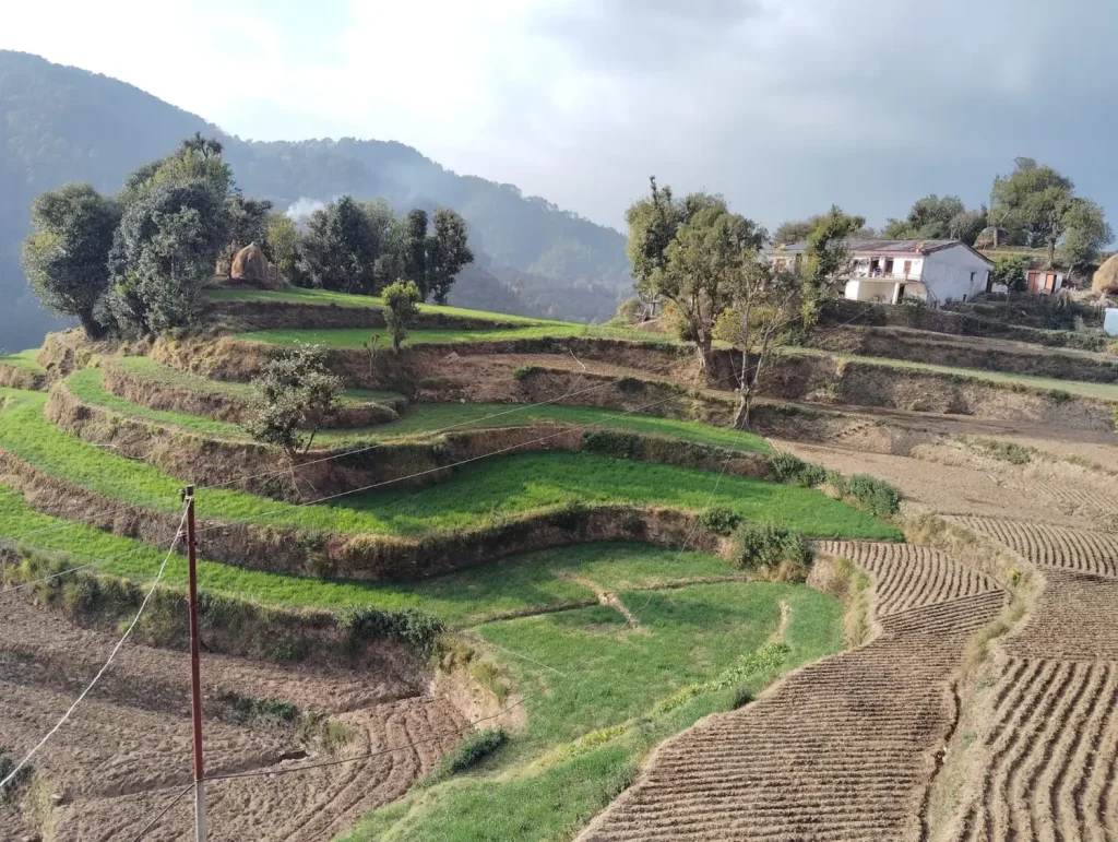 Mahadeva Homestay